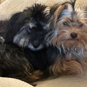 Chloe and Maisy