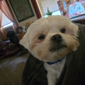 Max