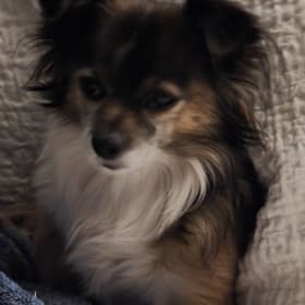 PatrickJames