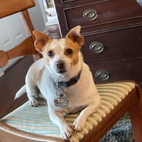 Winnie