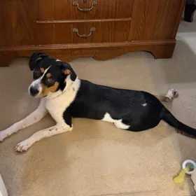 Xena