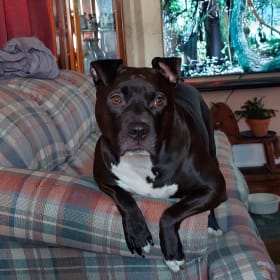 Hildy