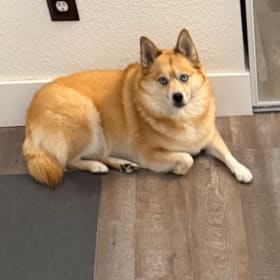 Gia