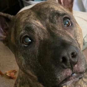 Gracie Mae
