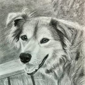 Fluff