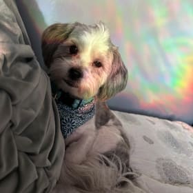 Franklin