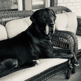 Tank