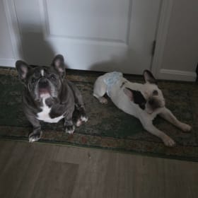 Winston and Hank