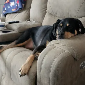 Boone
