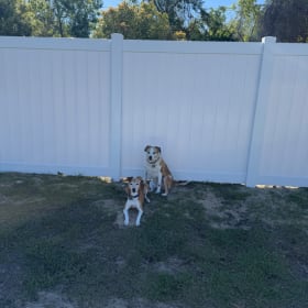 Annabelle and Cody