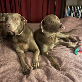 Athena and Avonlea