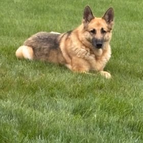 Athena