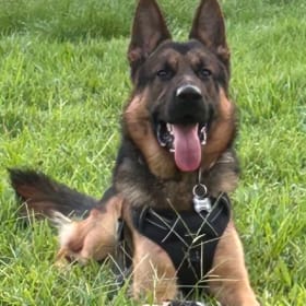 Roscoe