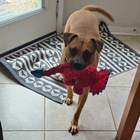 Simon