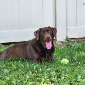 Bella