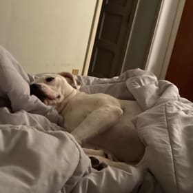 Maggie