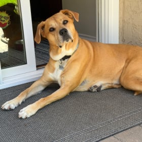 Lilly