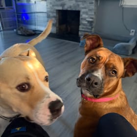 Mikey and Allie
