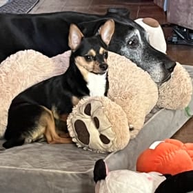 Dutchess and Betty