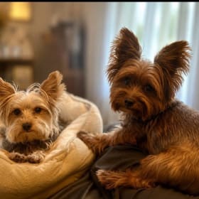 Finn and Fiona