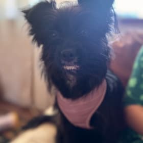 Coco