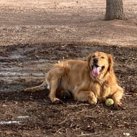 Charlie