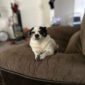 Beverly