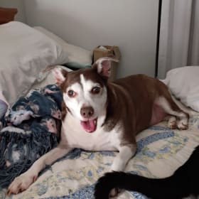 Roscoe