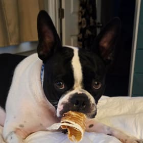 Maggie