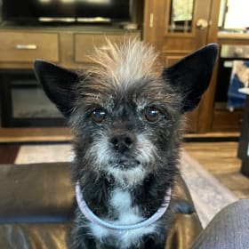 Libby