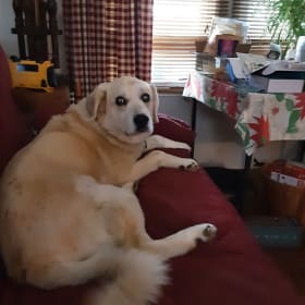 Daisy mae