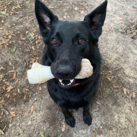 Onyx