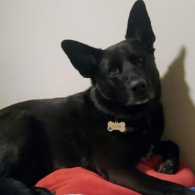 Odin