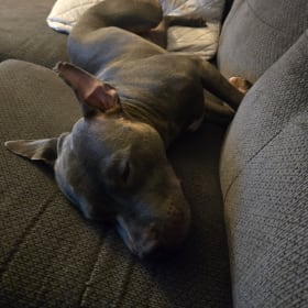 Blu