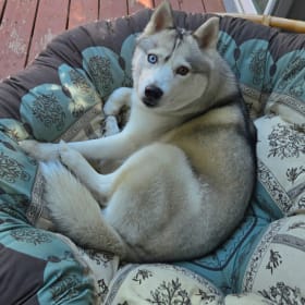 Kaia