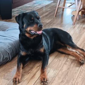 Sonny