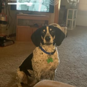 Opie