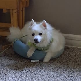 Kita