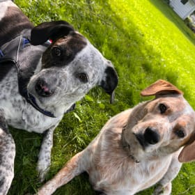 Roxy and Zazu