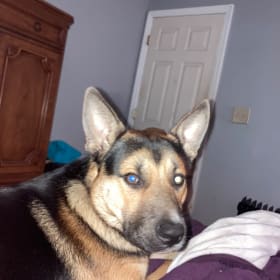 Archie
