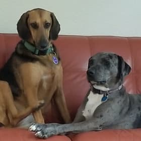 Lily and Mocha