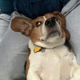 Finnegan