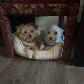 Pogo and Pinky