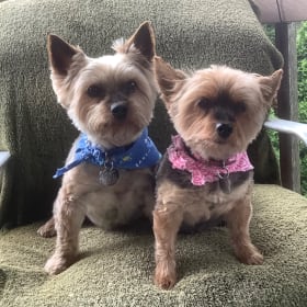 Kaiden and Kenzie