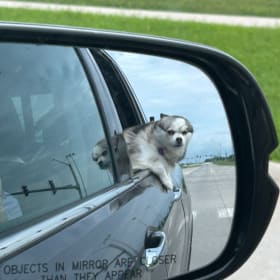 Sadie