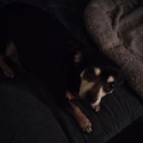 Coco