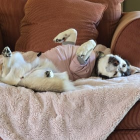 Sadie