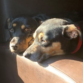 Gracie and Maggie