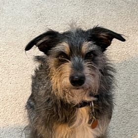 Maggie