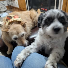 Darby and Dottie